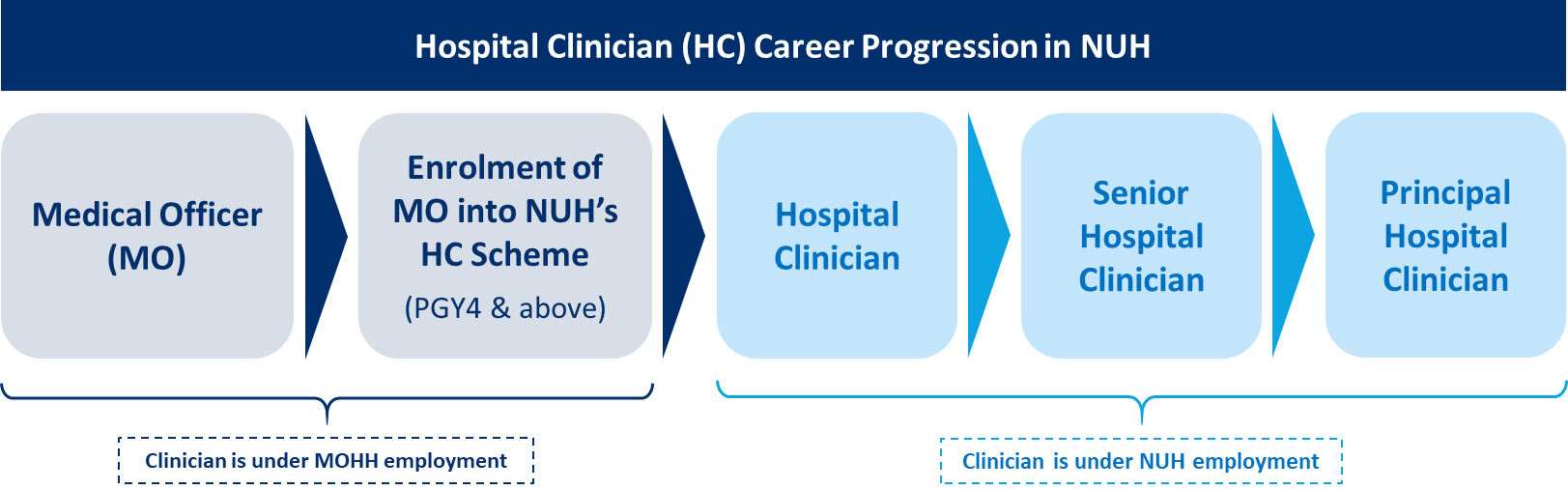 Hospital Clinician Career Track.png