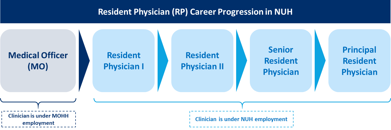 Resident Physician Career Progression.png