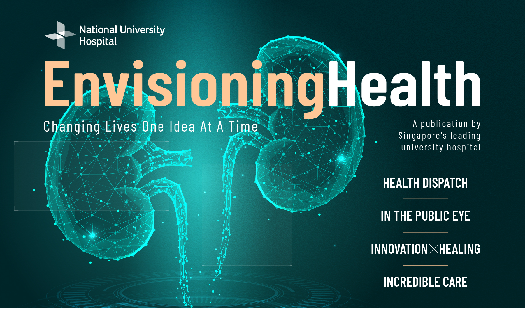 Envisioning health issue 4