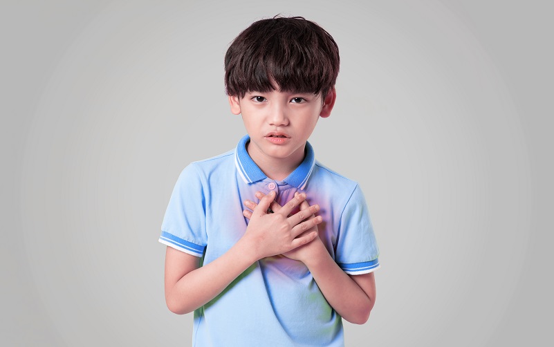 Mending young hearts: care for rare paediatric heart conditions