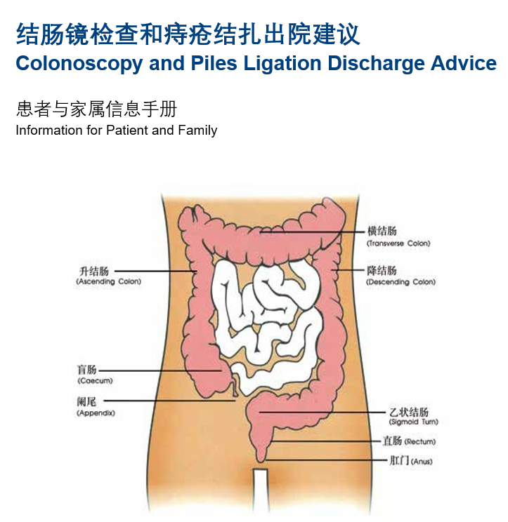 Colonoscopy and Piles Ligation Chinese