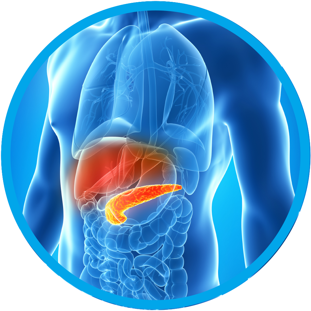 Hepatobiliary & Pancreatic Surgery