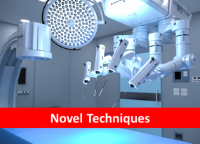 novel