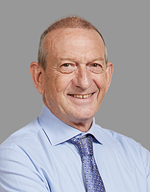 Professor Davide Lomanto