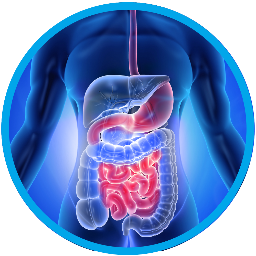 Upper Gastrointestinal Surgery