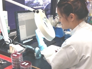 Microbiology Division