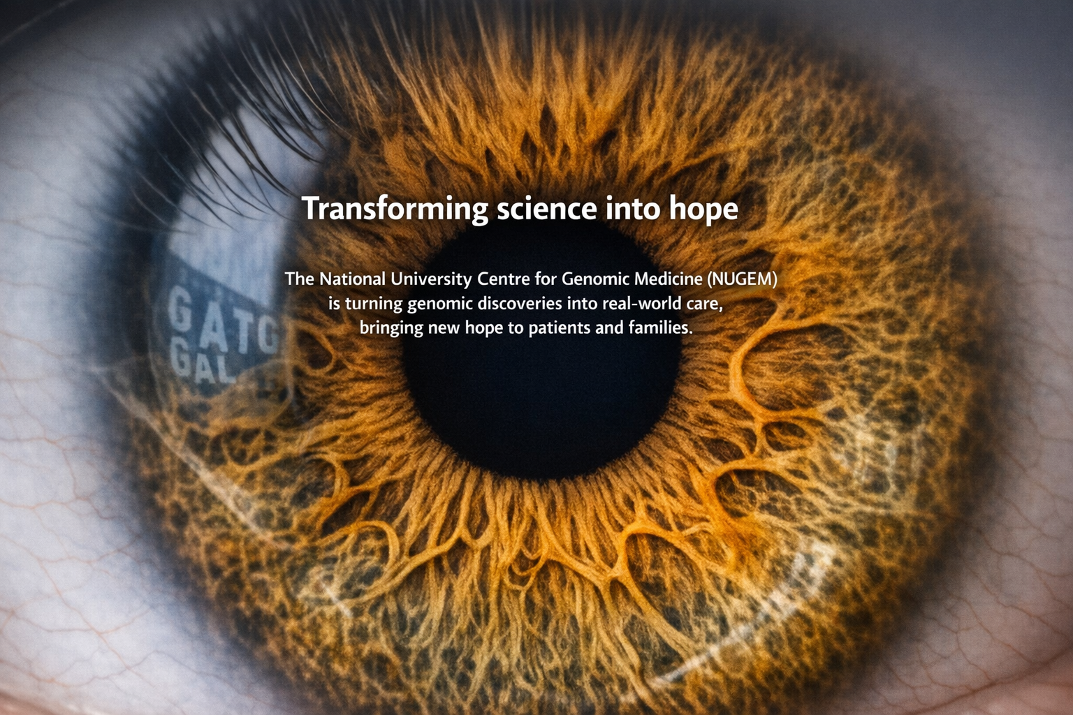 NUGEM carousel banner 2