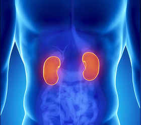 Adult Kidney Transplantation