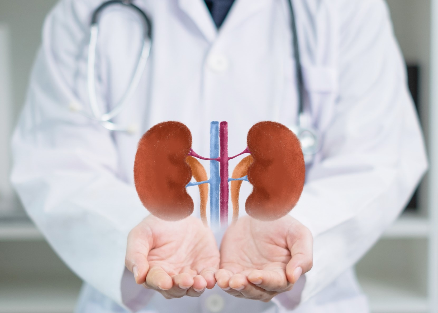 Adult Kidney transplantation programme
