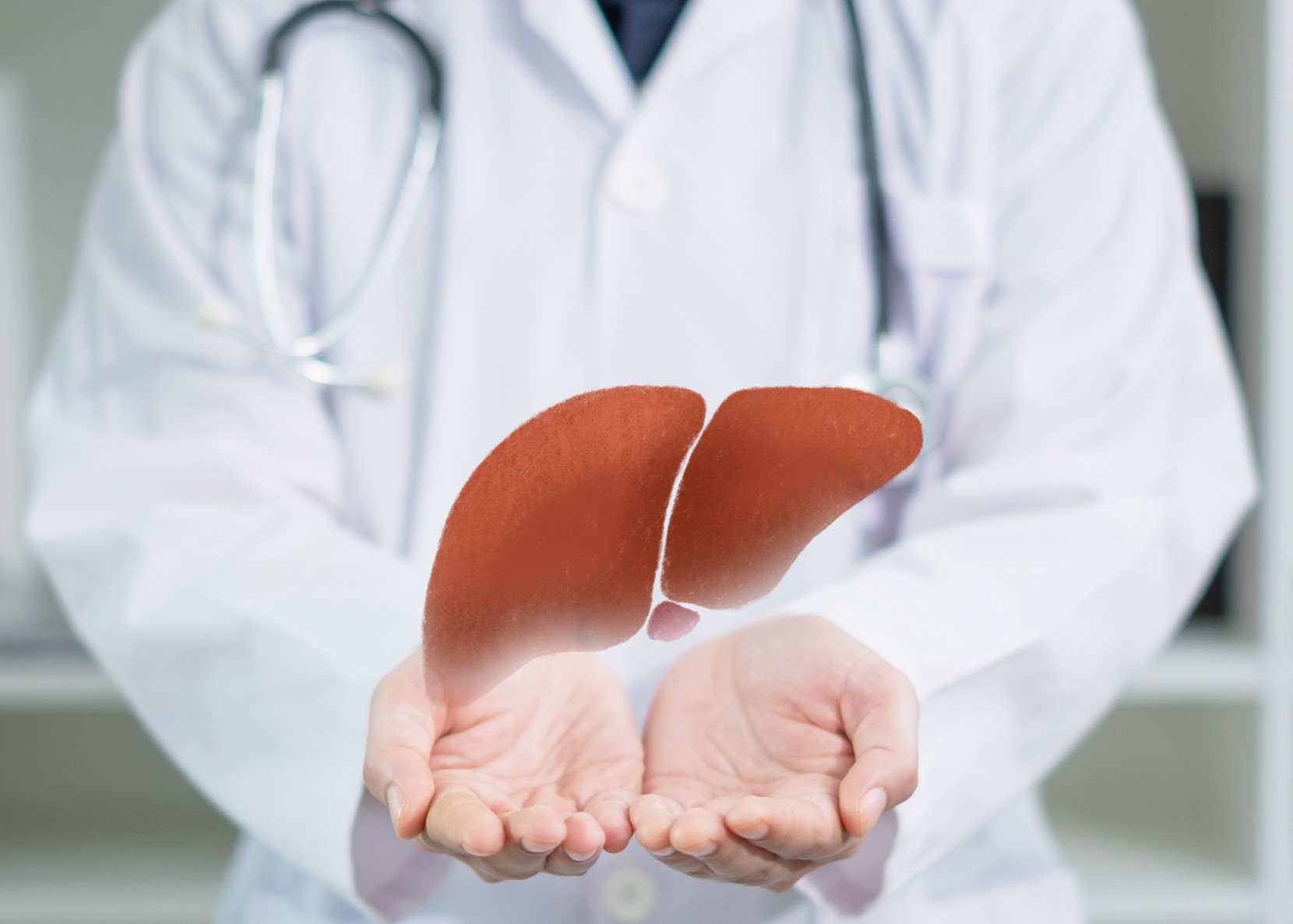 Adult Liver transplantation programme