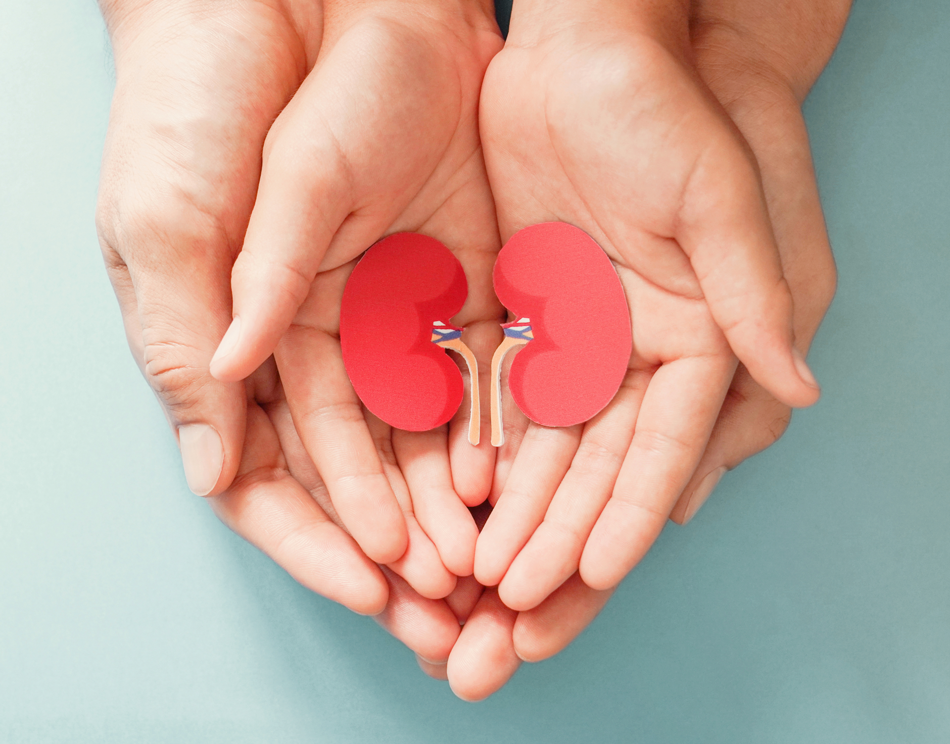Paediatric Kidney transplantation programme