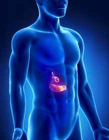 Adult Pancreas Transplant Programme