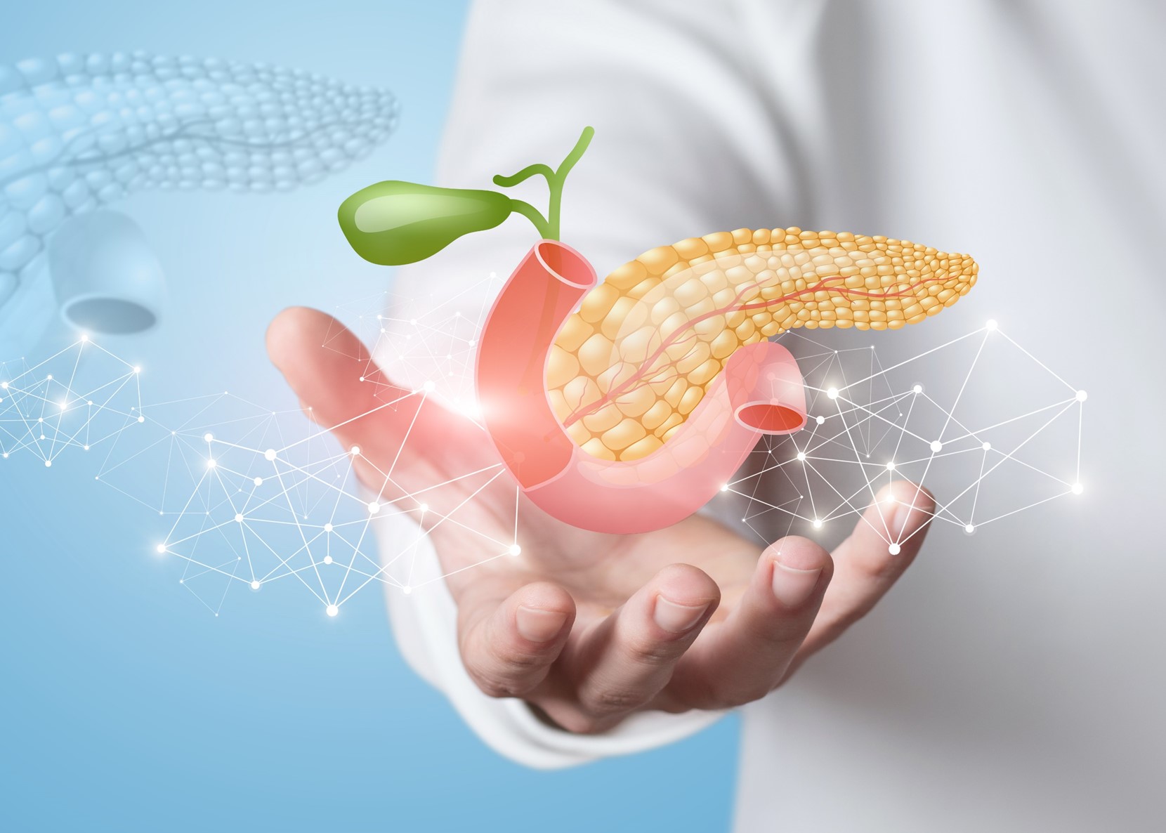 Pancreas transplantation programme