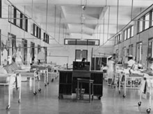 Department of Orthopaedic Surgery
