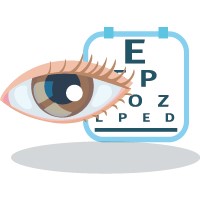 Vision Rehabilitation