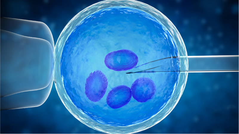 Search and destroy: Knocking down a deadly brain cancer