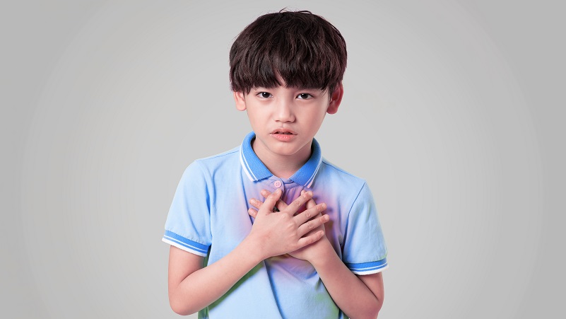 Mending young hearts: care for rare paediatric heart conditions