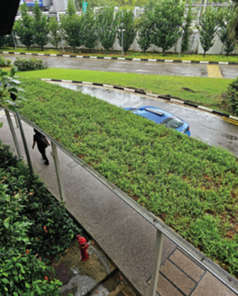 Installing green mats over walkways
