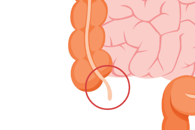 Appendix