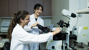 Our Research