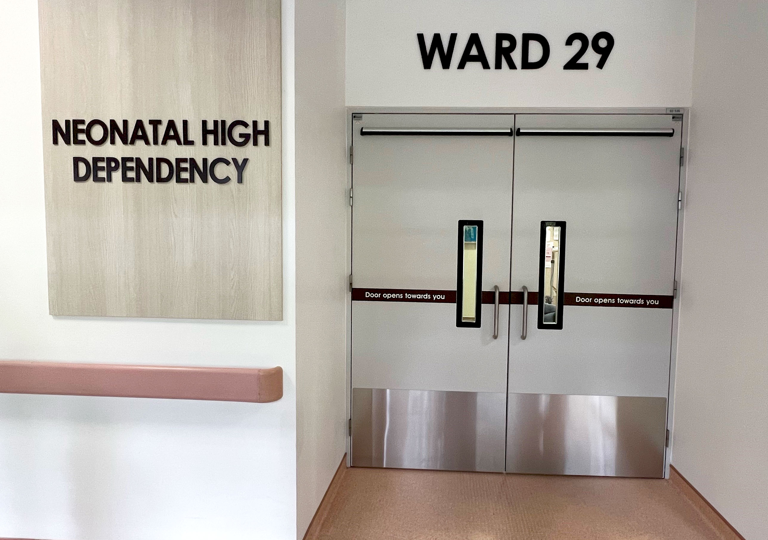 Ward 29
