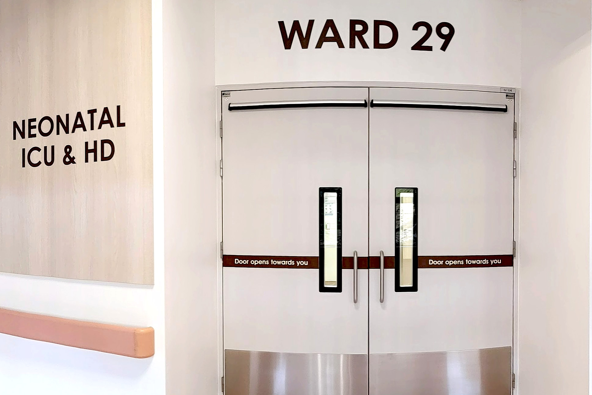 Ward 29