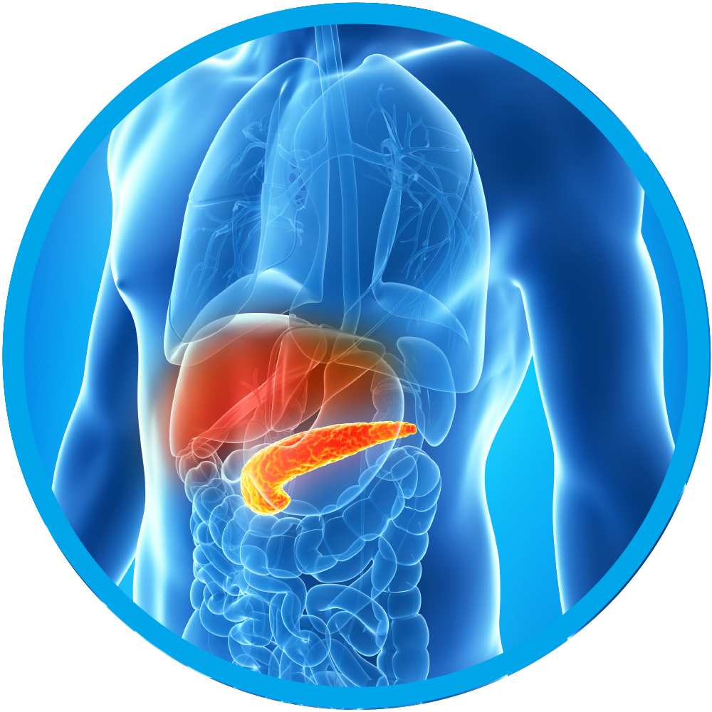 Hepatobiliary and Pancreatic Surgery.png