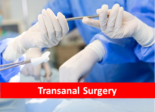 Transanal Surgery